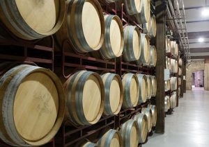 wooden barrels in winery